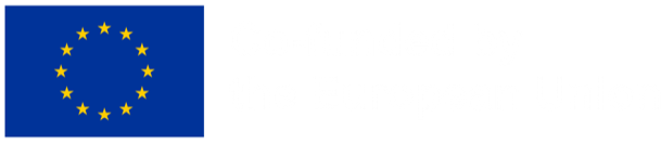 Co-funded by the European Union
